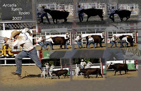 Arcadia Ranch Rodeo 10-13-2007