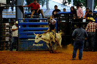 INFR Steer Riding
