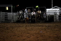 Ranch Doggin & Tying