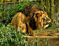 10-22-2009 Zoo