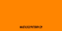 Sample Orange Color_Tumbler