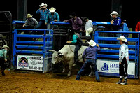 11 2nd Section Bull Riding