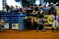 Bull Riding 1st Section