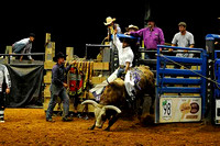 Bull Riding 2nd Section
