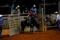 Jr Bull Riding