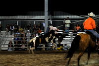 Ranch Rodeo 2/26/2011